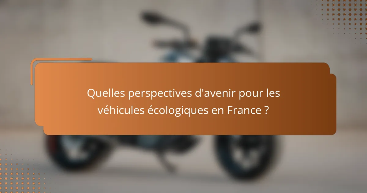 Quelles perspectives d'avenir pour les véhicules écologiques en France ?