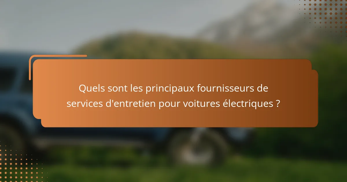 Quels sont les principaux fournisseurs de services d'entretien pour voitures électriques ?